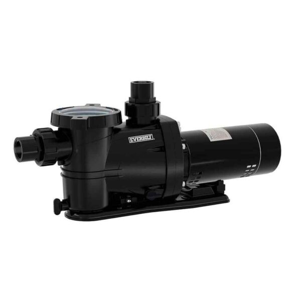 Everbilt 1.5 HP 2-Speed Pool Pump 230-Volt