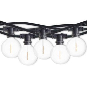 Bulbrite Outdoor/Indoor 14 ft. Plug-in G16 LED Black String Light w/ 10 Sockets