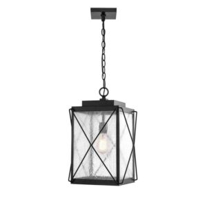 Millennium Lighting 1-Light 13 in. Powder Coat Black Outdoor Lantern Pendant