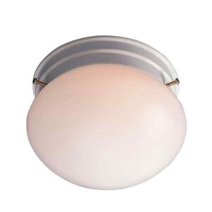 Volume Lighting 1-Light White Interior Flush Mount