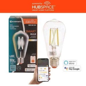EcoSmart 60-Watt Equivalent Smart ST19 Clear Tunable White CEC LED Light Bulb