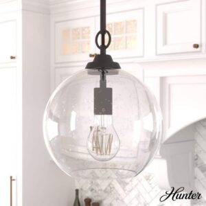 Hunter High Oaks 1 Light Bronze Globe Pendant Light w/Clear Seeded Glass Shade