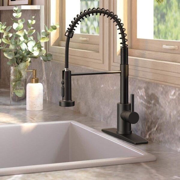 Androme Pull-Down Coil Spring Kitchen Faucet Single Handle Matte Black