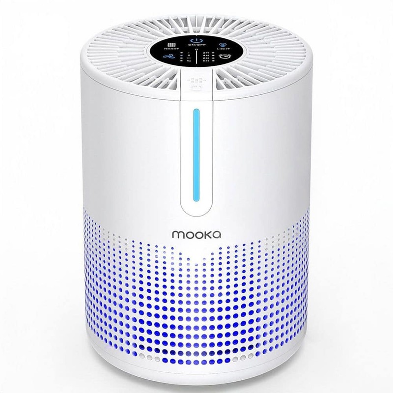 Edendirect 300 sq. ft. H13 True HEPA Personal Room Air Purifier in White, Timer