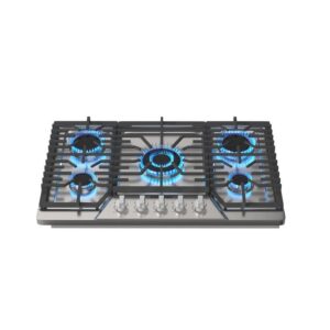 CASAINC 30 in. Recessed Gas Cooktop in Stainless Steel with 5 Burners