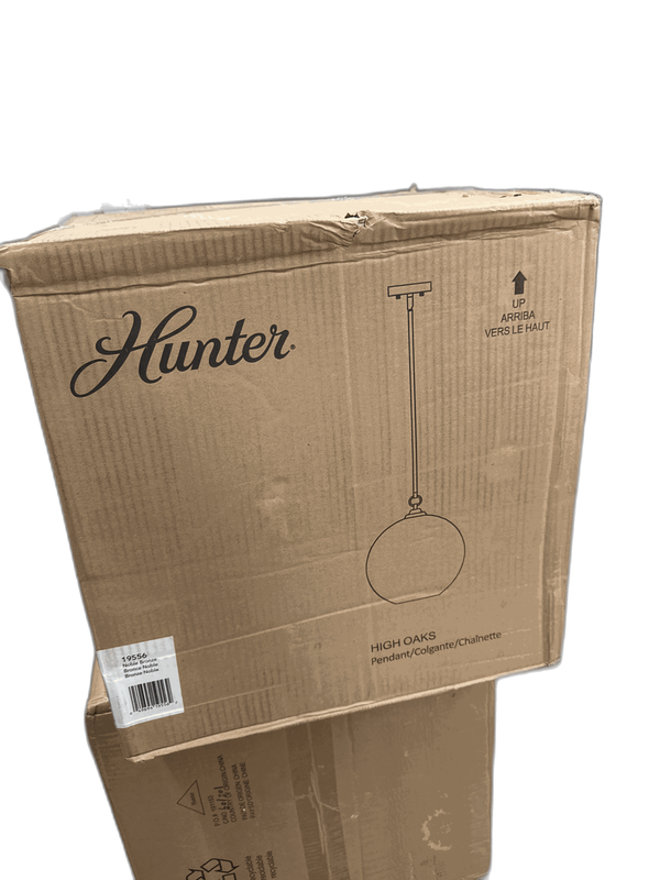 Hunter High Oaks 3 Light Noble Bronze Globe Pendant w Clear Seeded Glass