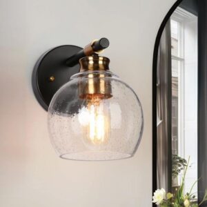 Zevni 1-Light Black Wall Sconce Globe Seeded Glass Modern Farmhouse Vanity Light