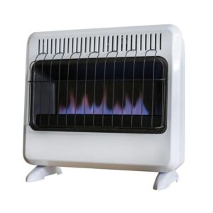 Mr. Heater 30,000 BTU Vent Free Blue Flame Natural Gas, Propane Dual Fuel Heater