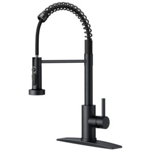 FORIOUS Single Handle Kitchen Faucet w/Pull Down Function Sprayer in Matte Black