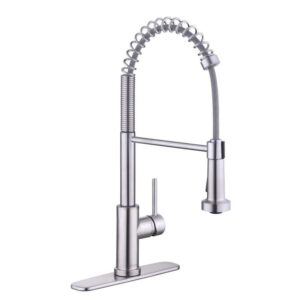 Glacier Bay Paulina Single-Handle Pull Down Kitchen Faucet Stainless Steel