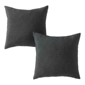 Greendale Home Fashions Carbon Square Outdoor Throw Pillow (2-Pack)
