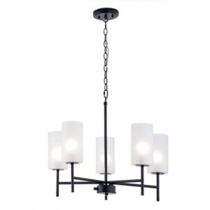 Home Decorators Collection 5 Light Matte Black Finish Chandelier w/Glass Shades