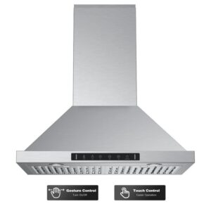 VIKIO 30 in. 900CFM Ducted Wall Mount w/LED Light Range Hood in Stainless Steel
