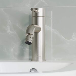 Swiss Madison Ivy Single-Handle Bidet Faucet in Nickel