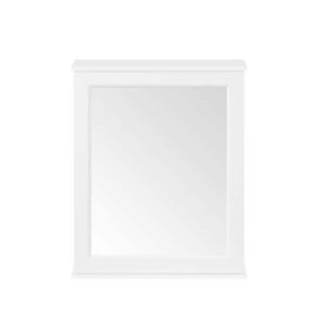 Home Decorators Caville 24 inW x 8 in. D x 30 in H Rectangular Medicine Cabinet