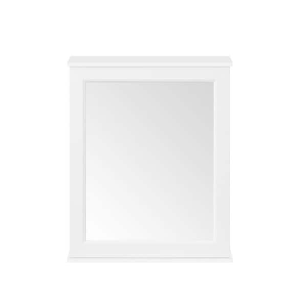 Home Decorators Caville 24 inW x 8 in. D x 30 in H Rectangular Medicine Cabinet