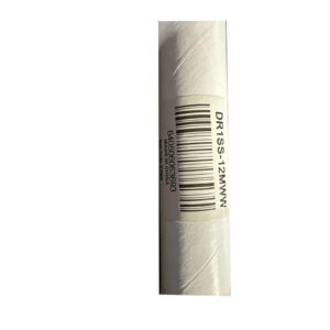 FANIMATION 12 in. Matte White Stainless Steel Extension Downrod