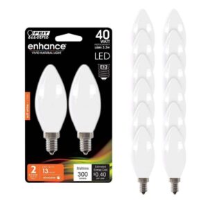 Feit Electric 40W B10 E12 Dimmable Frosted Glass LED Bulb Soft White 12-Pack