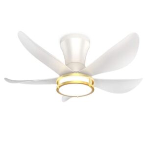 BIBIVIS 30 in. White 5-Blade Ceiling Fan with Remote for Bedroom