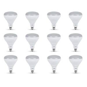 65W Equivalent BR40 LED Flood Light Bulb Soft White 2700K E26 Dimmable 12-Pack