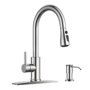 Forious Pro Single-Handle Pull Down Sprayer Kitchen Faucet Stainless Steel