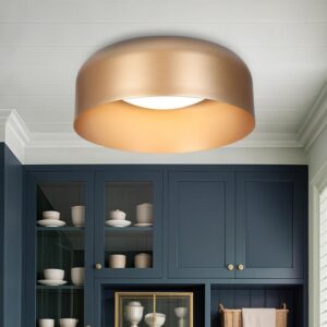 Zevni 14 in. 1-Light Dark Gold Flush Mount LED Dome Ceiling Light