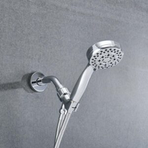 Fapully 5-Spray Wall Mounted Handheld Shower Head 2.5 GPM Chrome