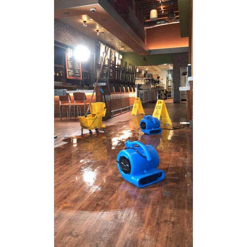 B-Air 1/4 HP Air Mover Blower Fan Blue for Carpet Dryer Floor Water Damage - Image 9